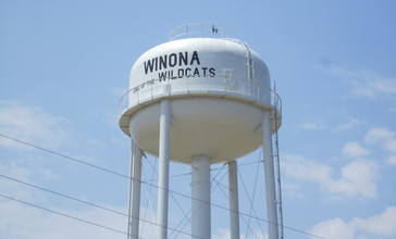 Winona__TX__water_tower_IMG_5296.JPG