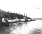 Union_City_on_Hood_Canal_as_seen_from_the_water__CURTIS_1571_.jpeg