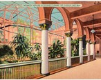 Monkey_House_at_Forest_Park._St._Louis._Mo__63214_.jpg