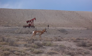 Oil_wells_in_Cisco__Utah.jpg