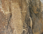 Petroglyph-Dubois-WY.jpg