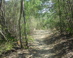 Hiking_trail_at_Castroville__TX_Regional_Park_IMG_3271.JPG