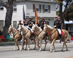 USMC_horses.JPG