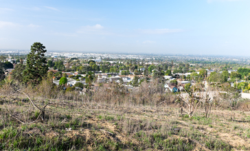 Whittier_CA_seen_from_Hellman_park__Peppergrass__trail.jpg