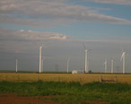 Windmills_south_of_Dumas__TX_IMG_0570.JPG