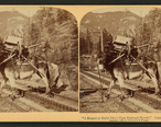 _I_helped_to_build_Pike_s_Peak_railroad_myself___Colorado__U.S.A__from_Robert_N._Dennis_collection_of_stereoscopic_views_2.jpg