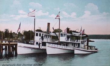 Damariscotta_River_Steamboat_Co._s_Fleet.jpg