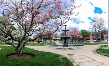 Taunton_Green__Massachusetts__Panorama.jpg