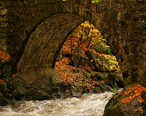 Fall_Bridge.jpg