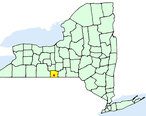 Elmiranymap.jpg