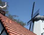 Solvang_stork_and_windmill.JPG