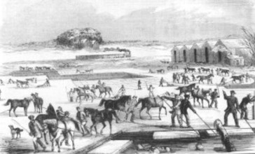 Spy_Pond_Ice_Harvesting_from_a_1854_print.jpg