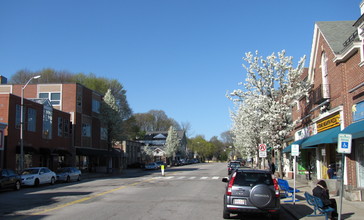 Looking_north_on_Leonard_Street__Belmont_Center_MA.jpg