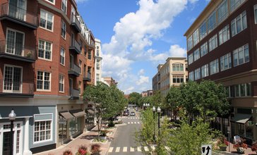 Blue_Back_Square_in_West_Hartford__Connecticut_2__August_10__2008.jpg