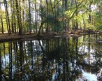 River_with_reflections_of_trees_autumn_in_Cranford_New_Jersey.JPG