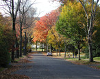 Maplewood_NJ_during_fall_foliage.jpg