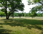 Watchung_park_in_Union_County_NJ_playfield.jpg