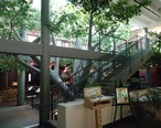 Trailside_Nature___Science_Center_Watchung_NJ_interior_view.jpg