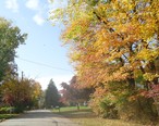 Gillette_New_Jersey_road_in_autumn.jpg