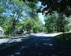 New_Providence_NJ_leafy_street_on_a_summer_day.jpg
