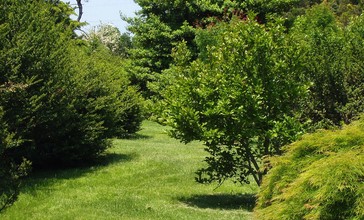 Rutgers_Gardens_-_arboretum.JPG