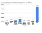 Dutchess_County_Racial_Demographics_Chart.jpg