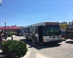 DART_First_State_bus_314_on_Rehoboth_Avenue_at_boardwalk.jpg