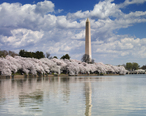 Washington_Monument__Washington__D.C._04037u_original.jpg