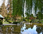 Lower_pond_at_Japanese_Friendship_Garden_in_San_Jose.JPG