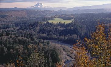 Jonsrud_Viewpoint_-_202C__8409092234_.jpg