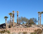 Coyote_Springs_marker.jpg