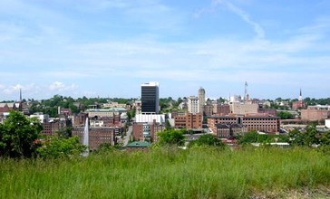 Lynchburg__Virginia_downtown_skyline.jpg