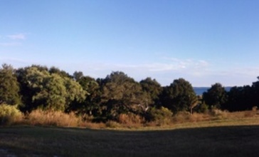 Andersonparkpano.jpg