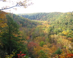 Clear_Fork_Gorge_from_Mohican_State_Park_Gorge_Overlook.jpg