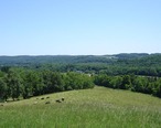 Mohican_State_Forest.jpg