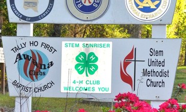 Town_of_Stem_Sign.jpg