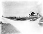 Intersection_of_Palm_Avenue_and_County_Road_in_1921.jpg