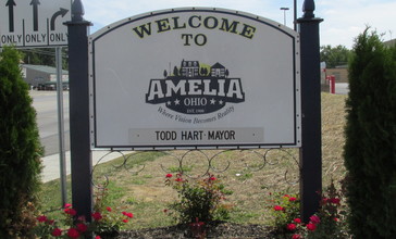 AmeliaOH1__cropped_.JPG