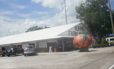 Burris_Farm_Market.jpg