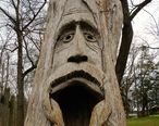 Montevallo__Alabama_Tim_Tingle_Tree_Carvings_in_Orr_Park_1.JPG