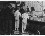 8_year_old_Max__one_of_the_shrimp_pickers._Only_a_small_force_was_working_that_day._Biloxi__Miss._-_NARA_-_523402.jpg