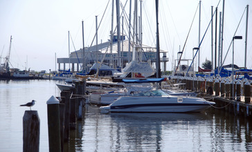 FEMA_-_37538_-_Pass_Christian_Harbor_with_docked_boats_in_Mississippi.jpg