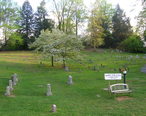 White_Oak_Flats_Cemetery.JPG