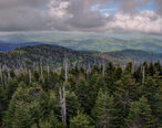 15-19-158__view_from_clingmans_dome_-_panoramio.jpg