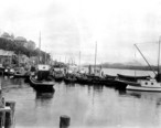 Fishing_fleet__Ketchikan__Alaska__June_29__1911__COBB_20_.jpeg