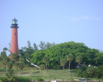 Jupiter_Lighthouse_and_Banyan_Tree.JPG