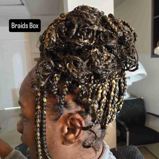 Box Braids Regular Size (Hair Included)
