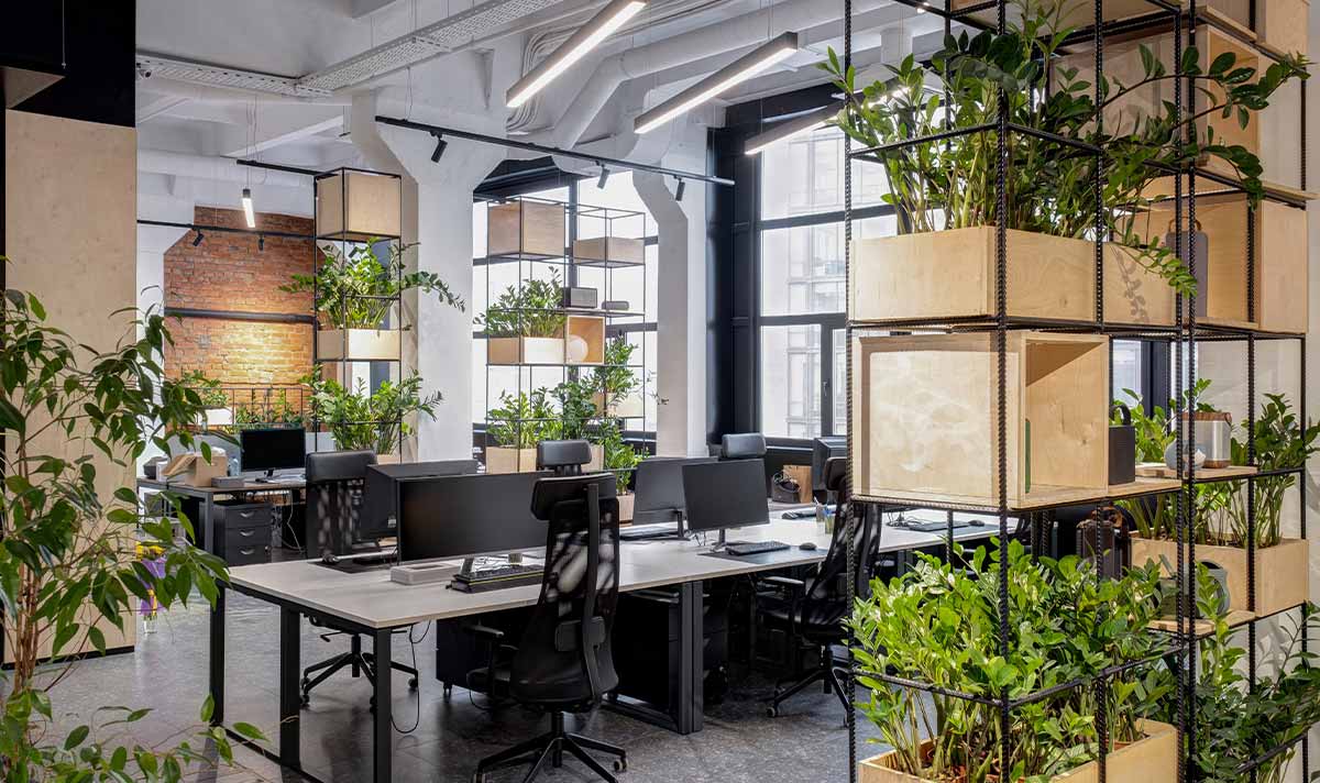 Green Office Spaces: Creating an Eco-Friendly Work Environment