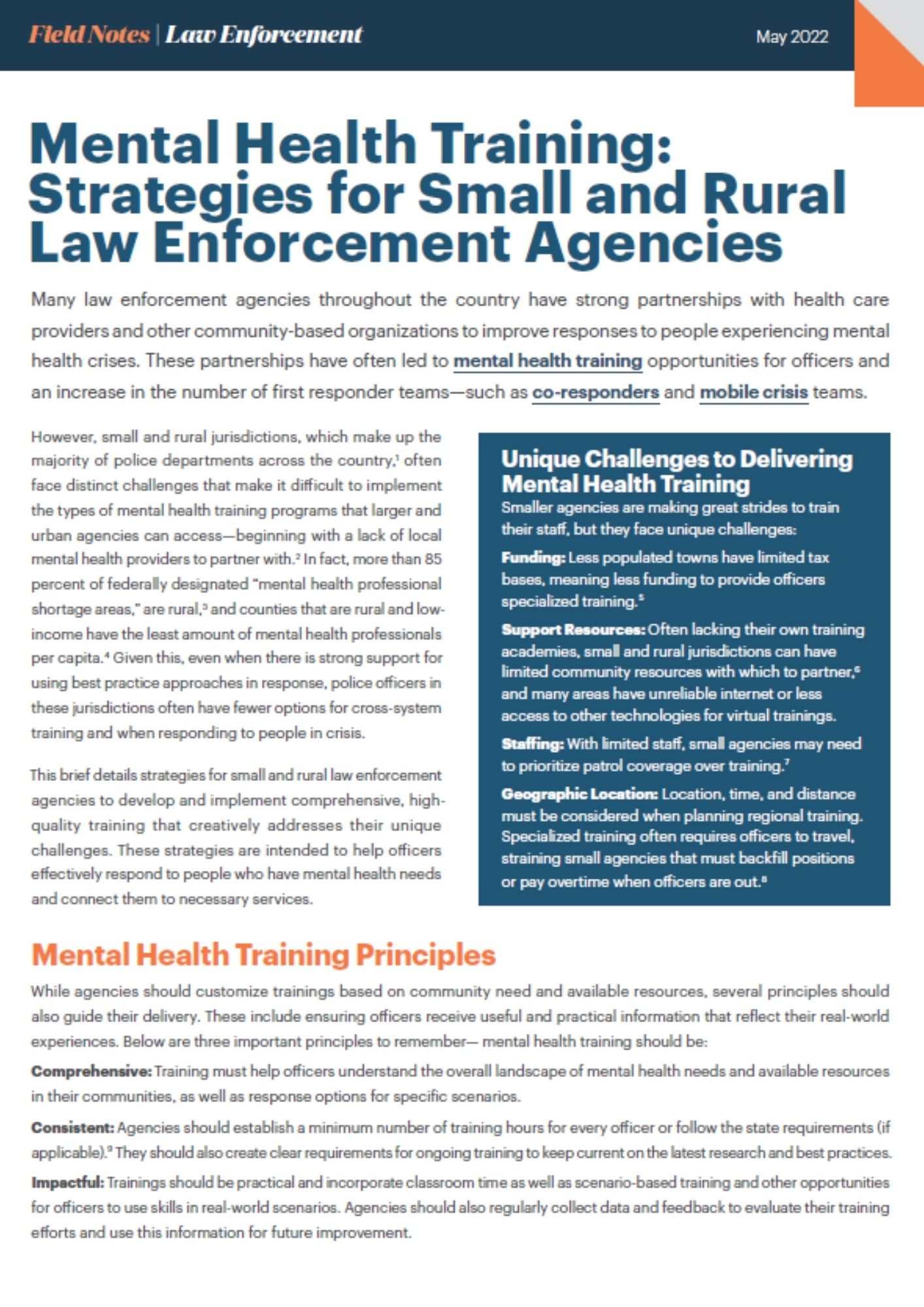 Mental Health in Public Safety: Addressing the Unseen Risks