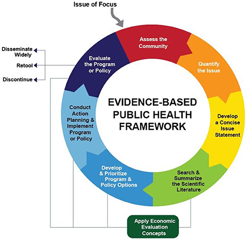 Public Health Policies: Impact and Implementation